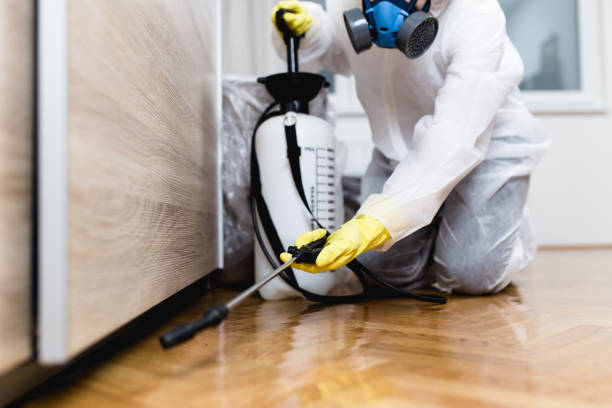 Best Affordable Pest Control Services  in Crossville, AL