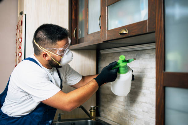 Best Exterminator Services  in Crossville, AL