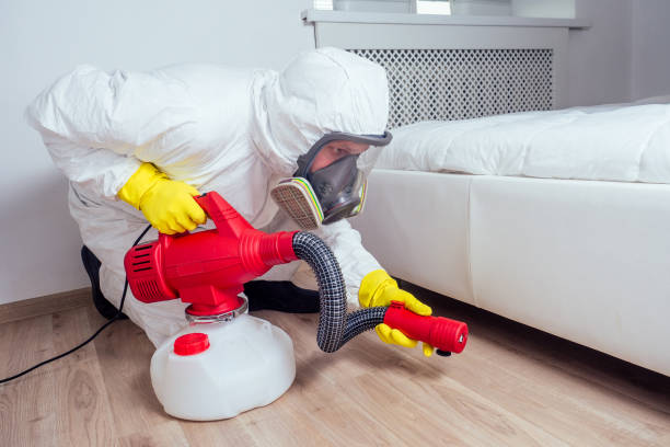 Best Cockroach Control Services  in Crossville, AL