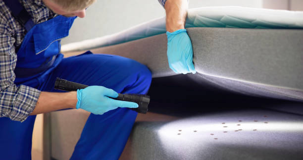 Best Termite Control Services  in Crossville, AL