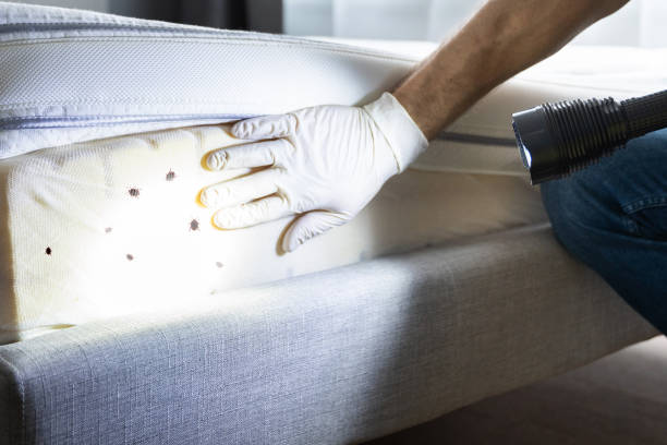 Trusted Crossville, AL Pest Control Experts