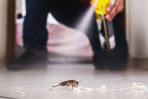 Flea Control Services in Crossville, AL